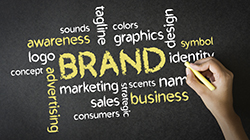 What Do Most Trustworthy Brands Have in Common that Sparks Customer Loyalty?